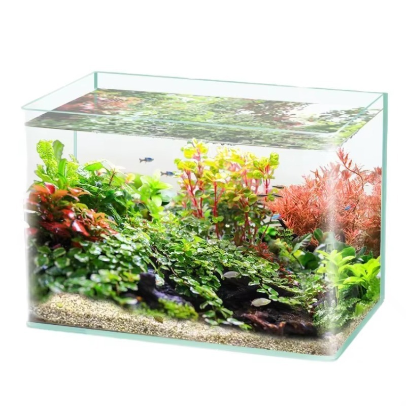 Box-Verpackung, Desktop-Aquari – Saltwater Tank Bewertung und Preis