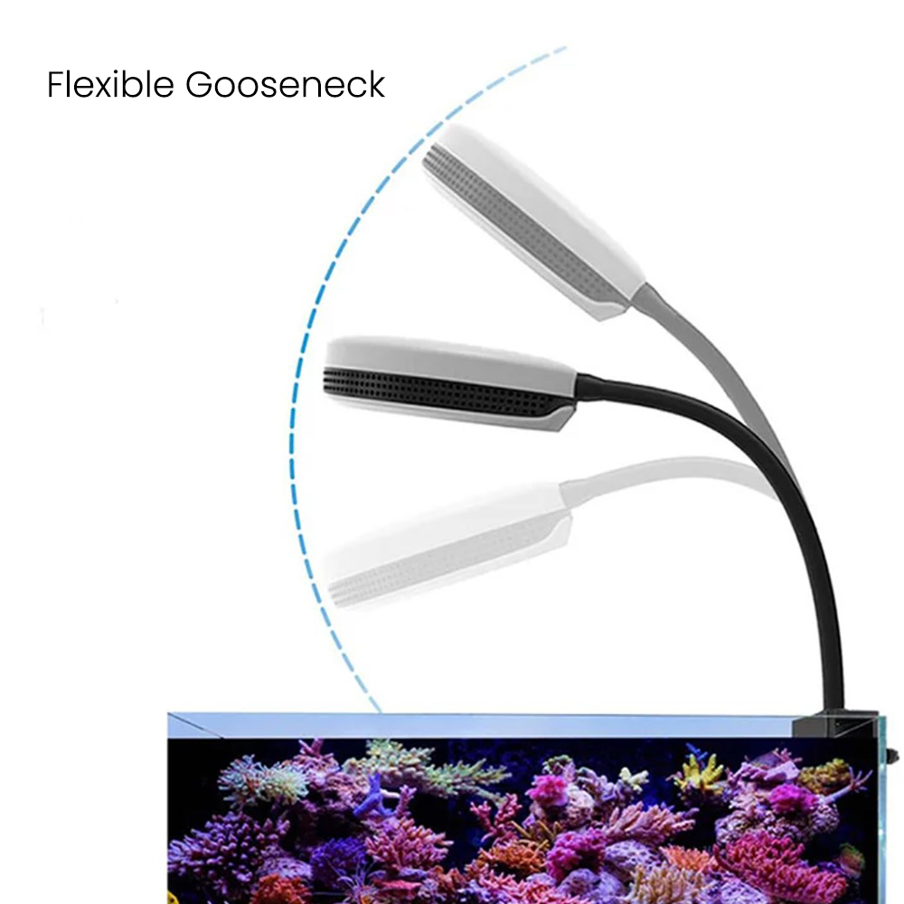Spectra SP20 20W Aquarium LED- – Saltwater Tank Bewertung und Preis