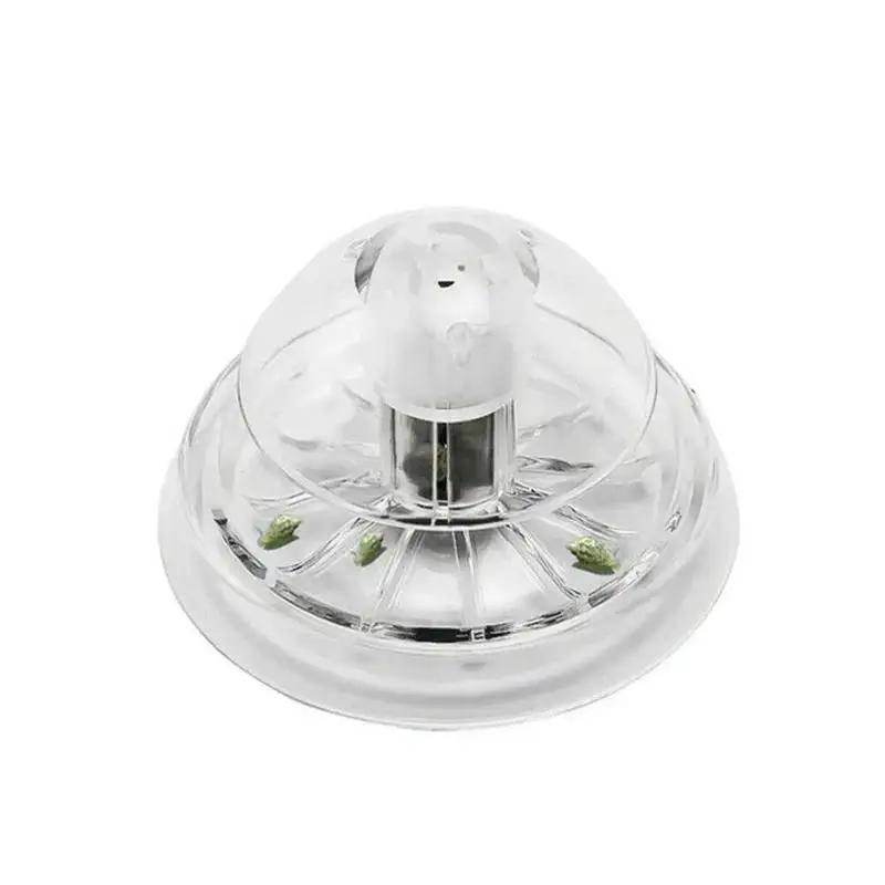 2026 Neu 6/8CM Klare Plastik-S – Ocean Aquarium Bewertung und Preis