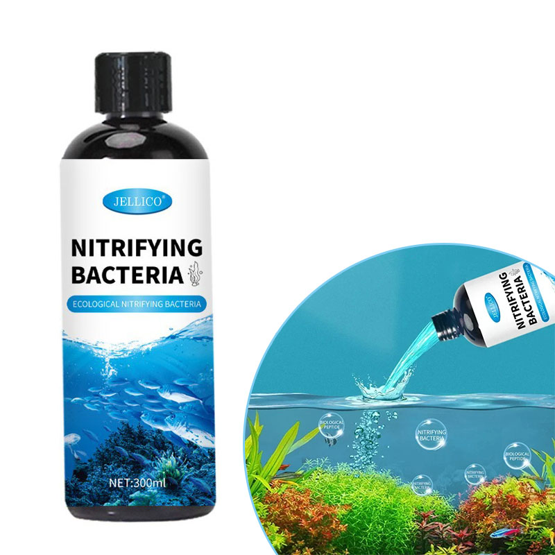 Nitrifizierende Bakterien Flüs – Ocean Aquarium Bewertung und Preis