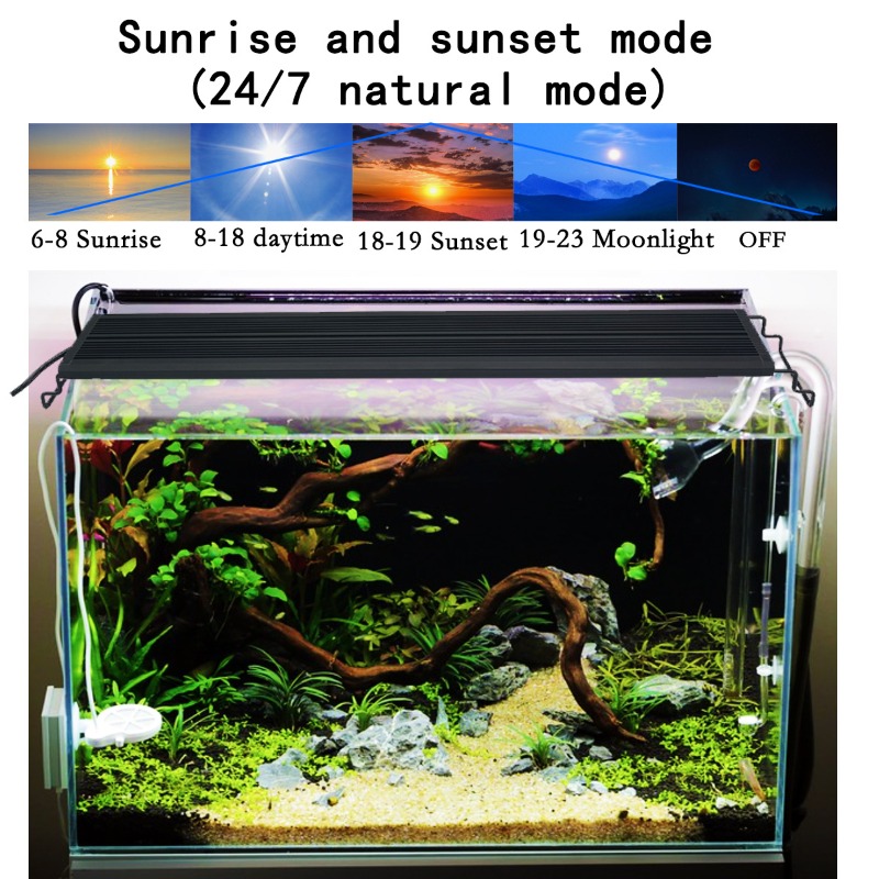 LED-Aquariumbeleuchtung Vollsp – Reef Lighting Bewertung und Preis