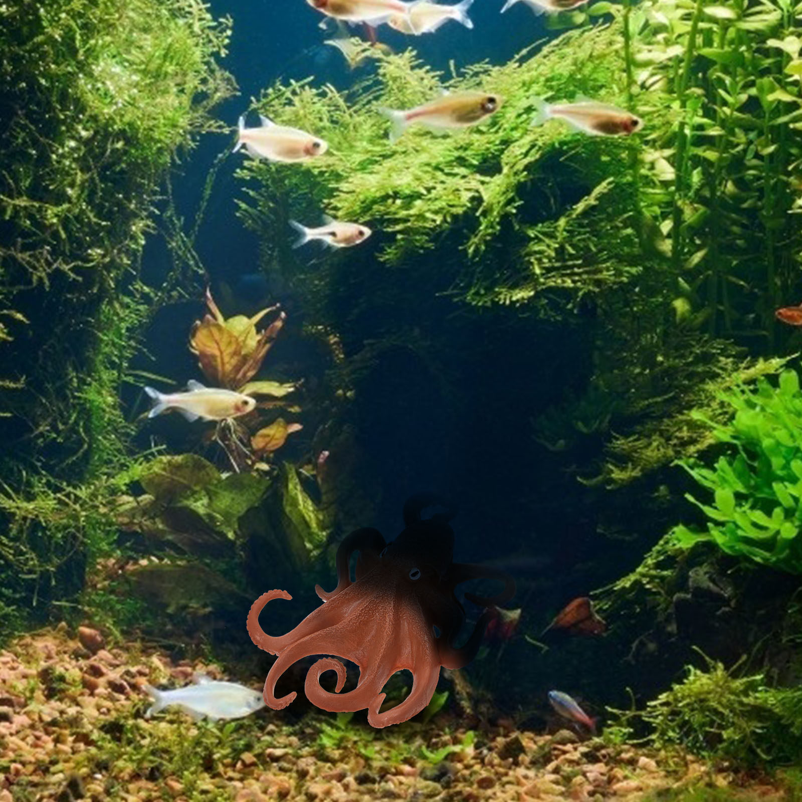 1 Stück Oktopus-Simulation, Me – Ocean Aquarium Bewertung und Preis