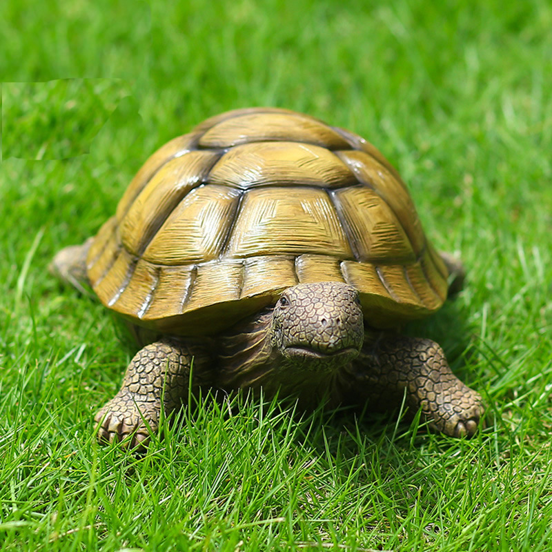 Niedliche dekorative Schildkrö – Marine Fish Tank Bewertung und Preis