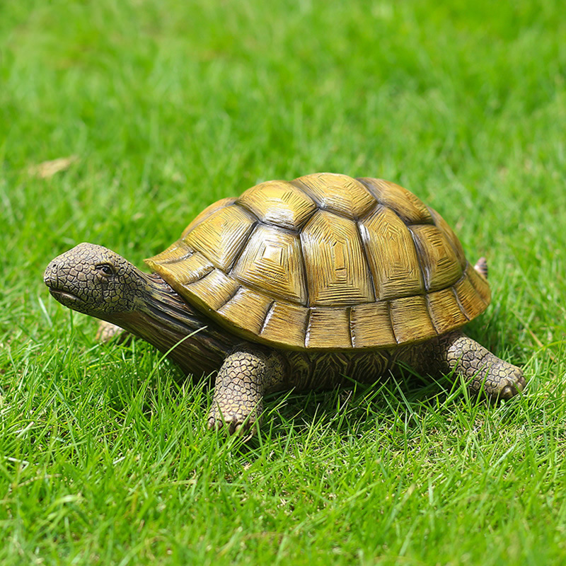 Niedliche dekorative Schildkrö – Marine Fish Tank Bewertung und Preis